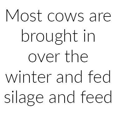Dairy Suppliers - Farmer Facts